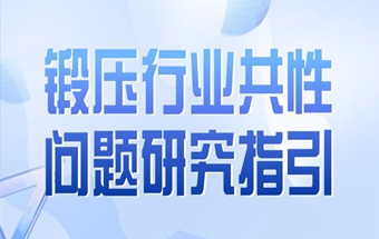 锻压行业共性问题研究指引（2024版）